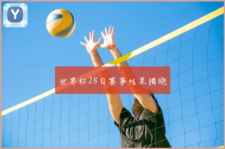 世界杯28日赛事结果揭晓