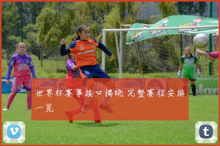 世界杯赛事接口揭晓 完整赛程安排一览