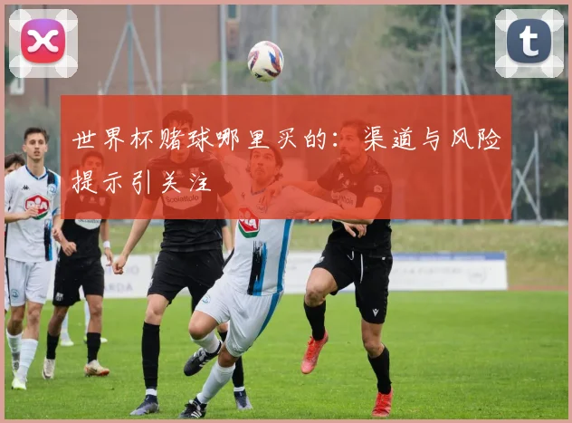 世界杯赌球哪里买的：渠道与风险提示引关注