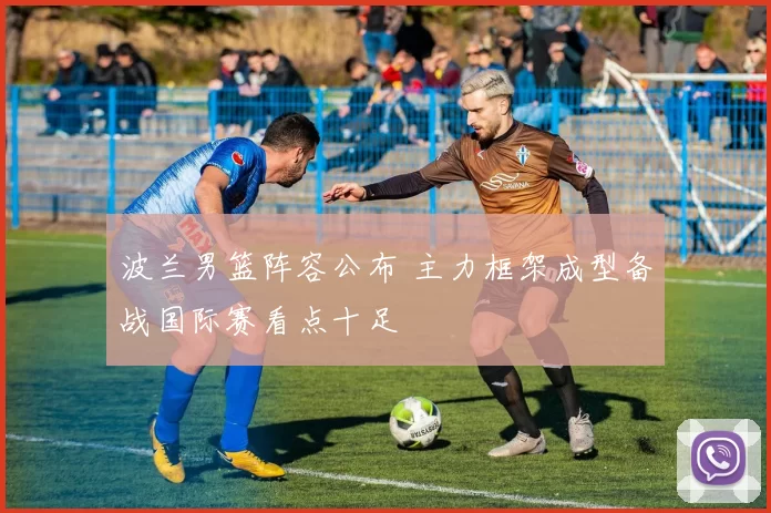 波兰男篮阵容公布 主力框架成型备战国际赛看点十足